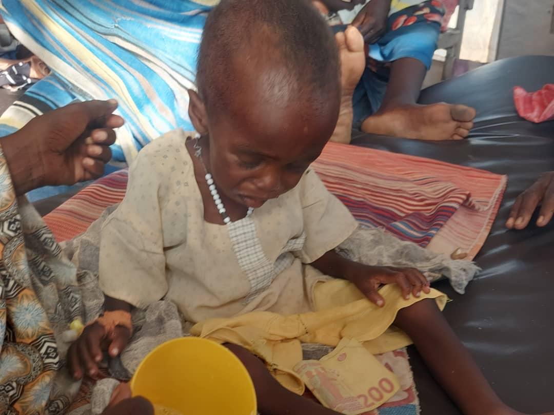 Distribution of food baskets to 9,500 HH in Zamzam IDPs Camp